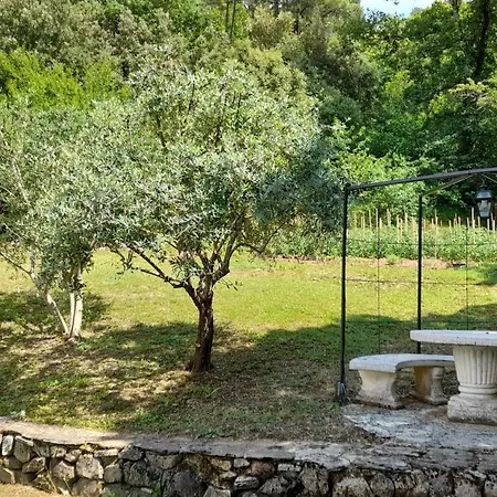 Les Hauts De Cabanoule - Bambouseraie - Generargues